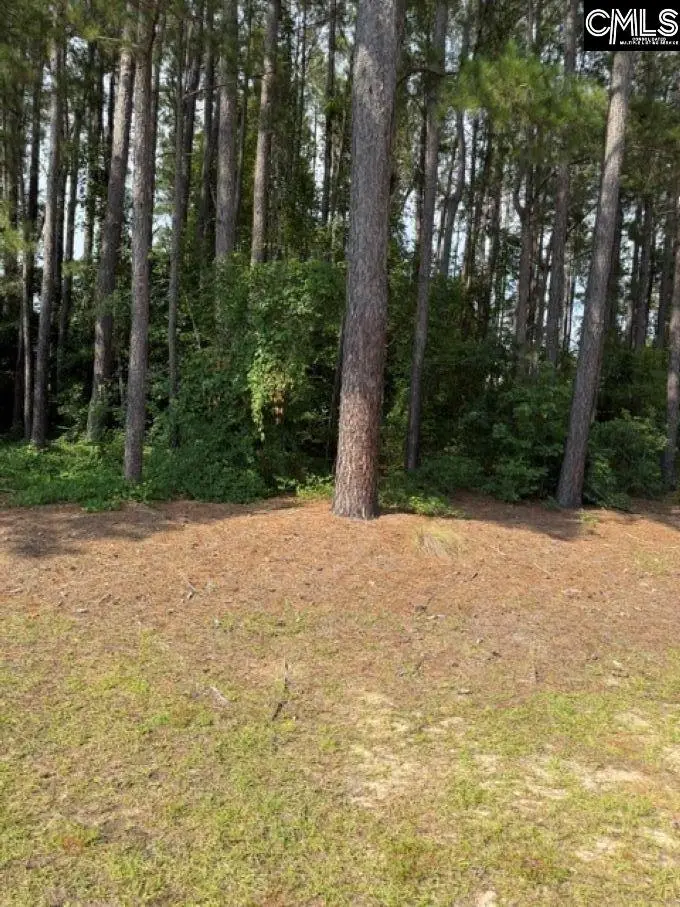 2140 Watersong Run, Sumter, SC 29150 - #3