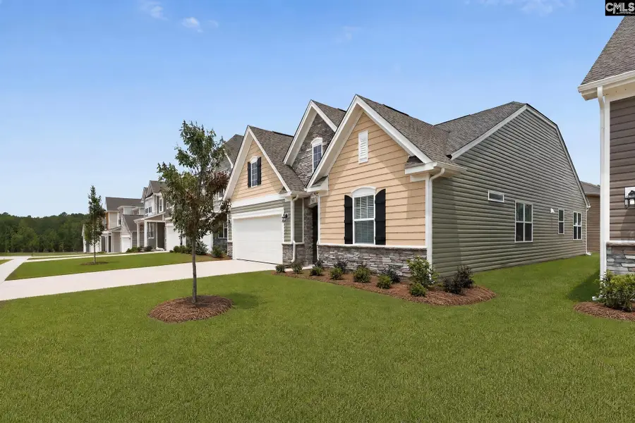 254 Foxglade Drive, Gilbert, SC 29054 - #2
