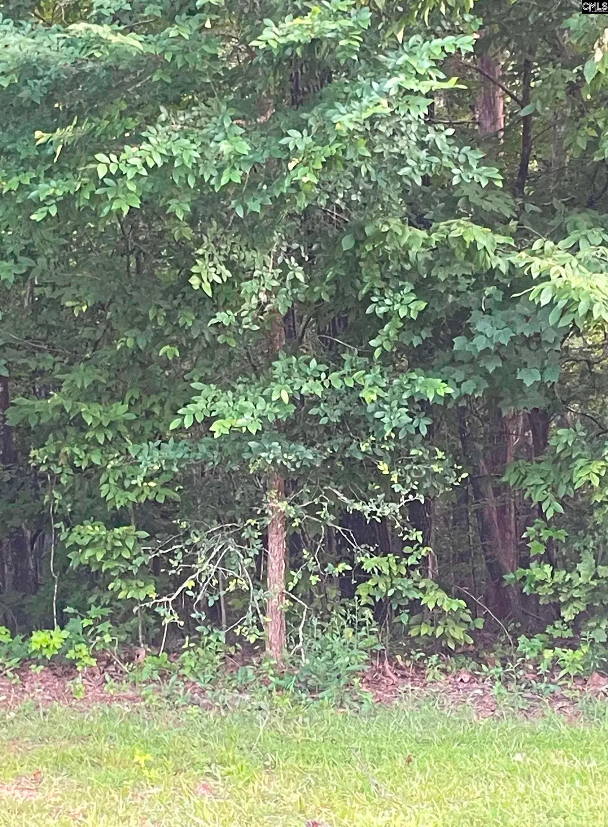 11 Otter Trail, Columbia, SC 29203 - #1