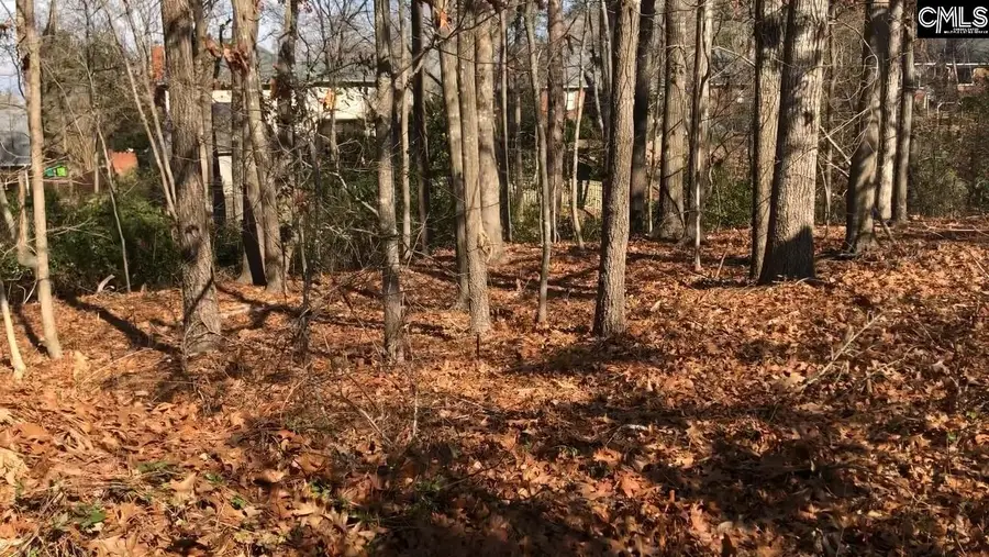 326 Carola Lane, Lexington, SC 29072 - #2