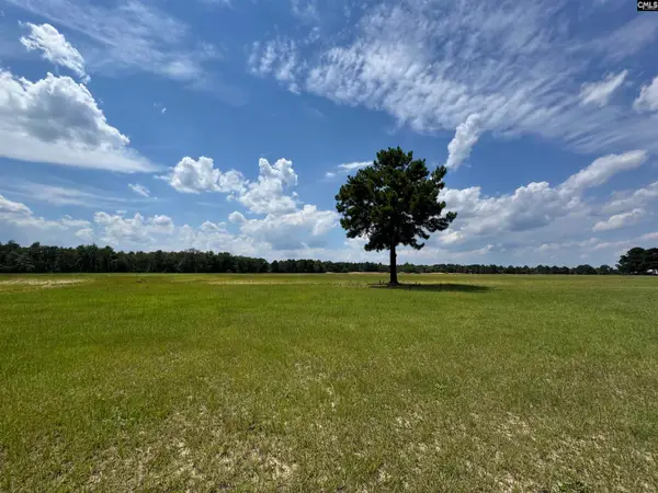 1465 6 Highway, Gaston, SC 29053