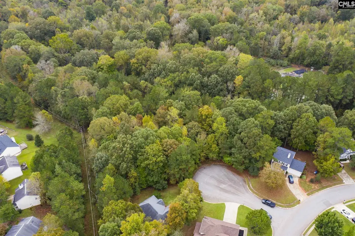 10 Fairlake Court, Columbia, SC 29212 - #1