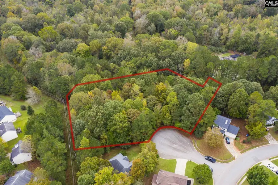 10 Fairlake Court, Columbia, SC 29212 - #2