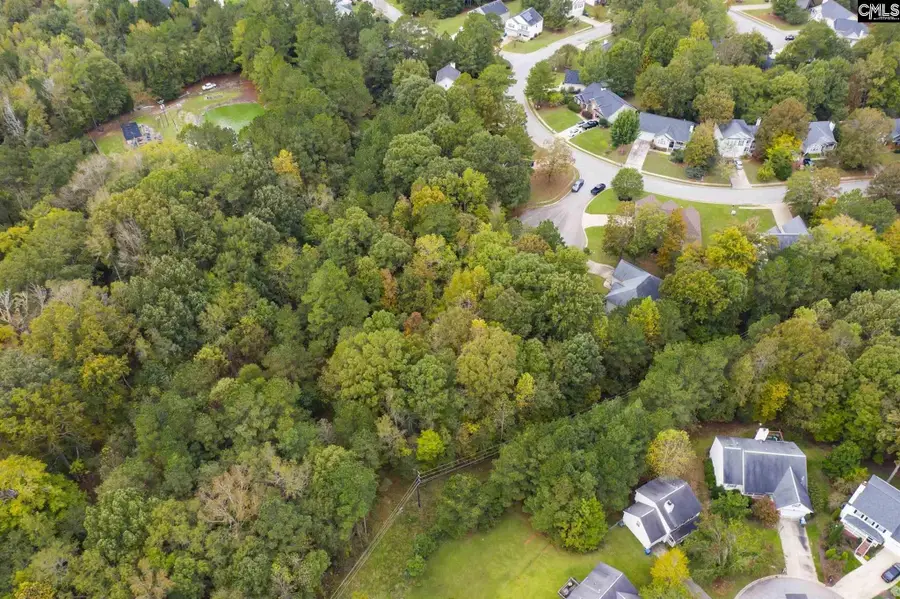 10 Fairlake Court, Columbia, SC 29212 - #3