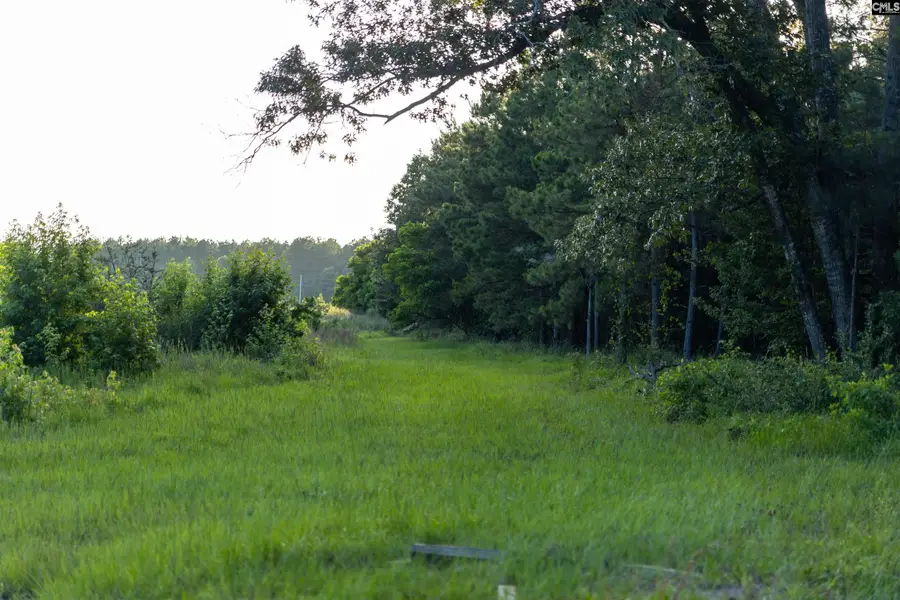 TBD Rizer Cemetary Road, Ehrhardt, SC 29081 - #3