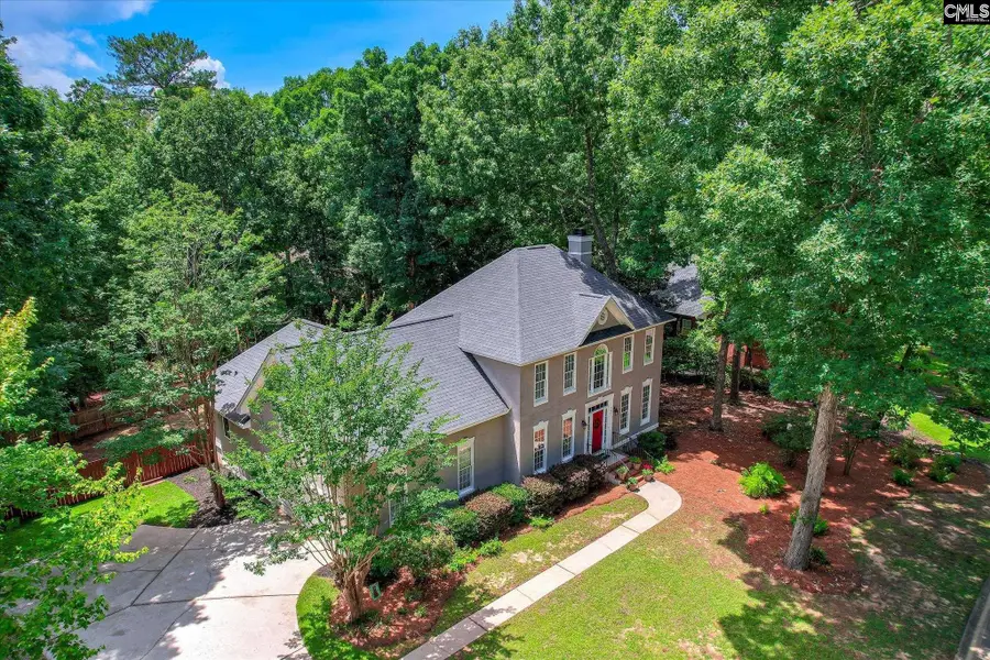 208 Misty Oaks Court, Lexington, SC 29072 - #2