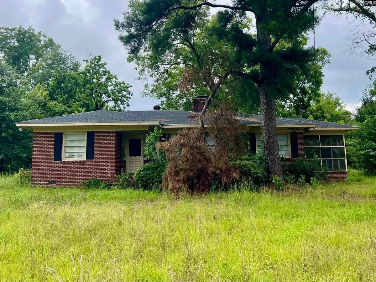 249 Richards Street, Denmark, SC 29042 - #1