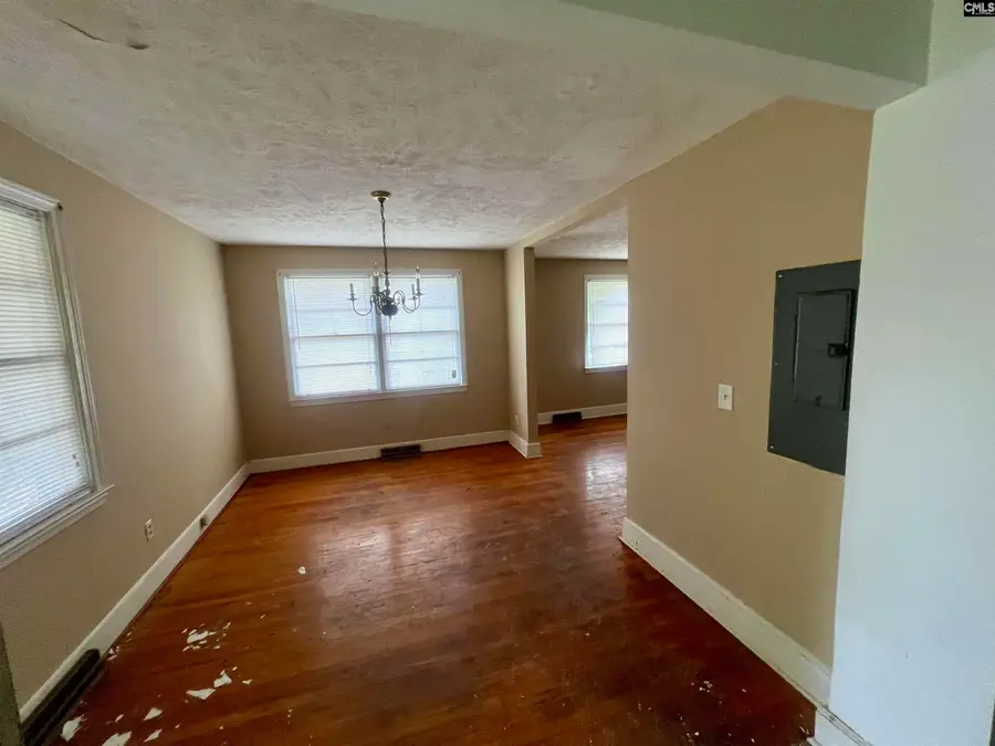249 Richards Street, Denmark, SC 29042 - #3