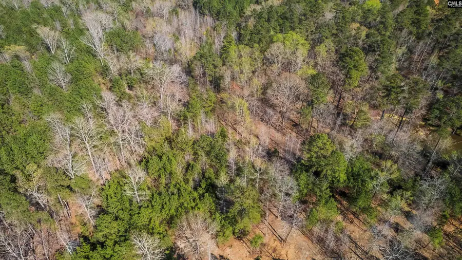 359 Holly Point Road, Prosperity, SC 29127 - #3