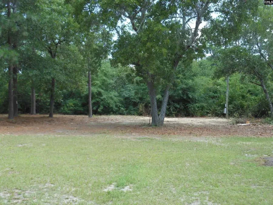649 Laurel Road, Lexington, SC 29073 - #3