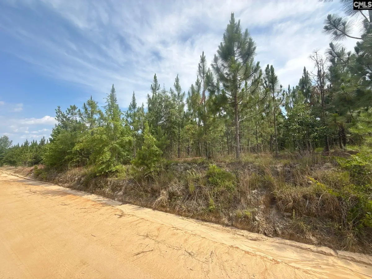 MPF 1 State Rd S-28-31 Road, Jefferson, SC 29718 - #1