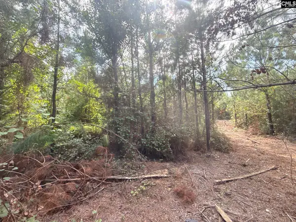 MPF 2 State Rd S-28-31 Road, Jefferson, SC 29718
