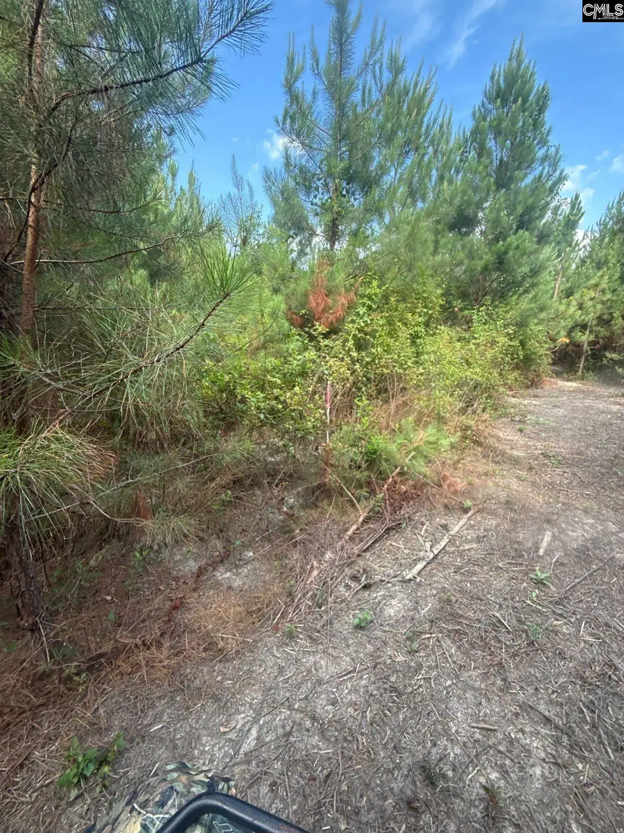 MPF 2 State Rd S-28-31 Road, Jefferson, SC 29718 - #2