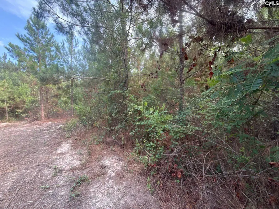 MPF 2 State Rd S-28-31 Road, Jefferson, SC 29718 - #3