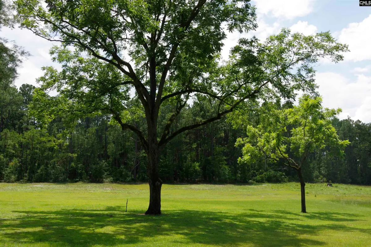 2249 Pepper Road, Lexington, SC 29073 - #1