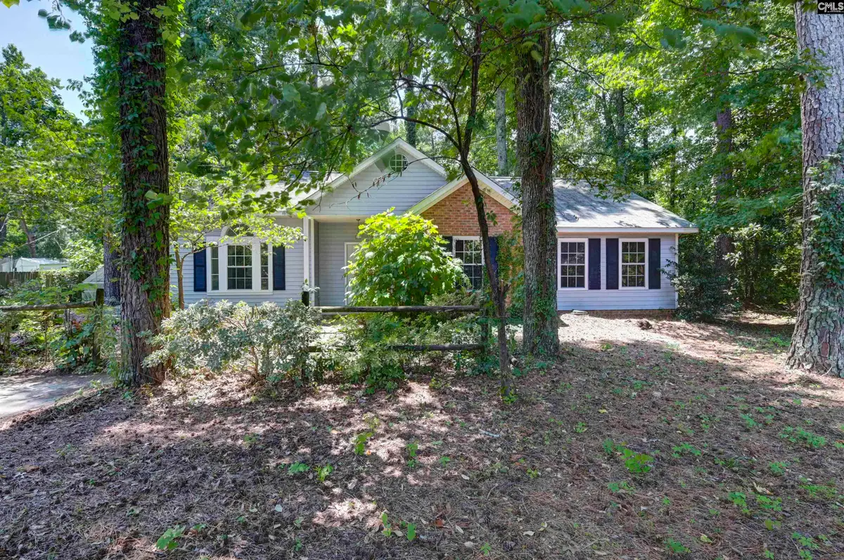 236 Darby Way, West Columbia, SC 29170 - #1