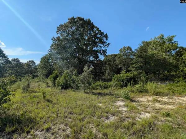 Hound Hollow Road, Camden, SC 29020