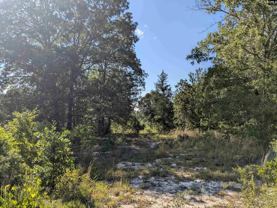 Hound Hollow Road, Camden, SC 29020 - #2