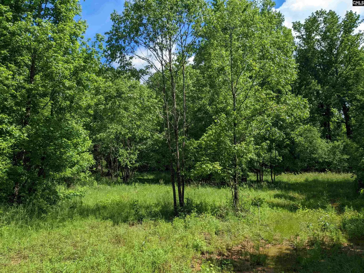 Lockhart Highway, Union, SC 29379 - #1