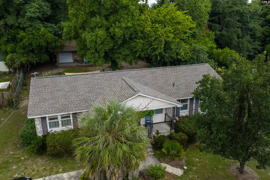 132 Backman Street, Lexington, SC 29072 - #3