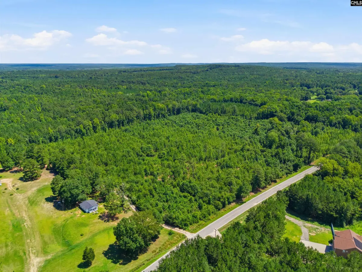 Borden Road, Rembert, SC 29128 - #1