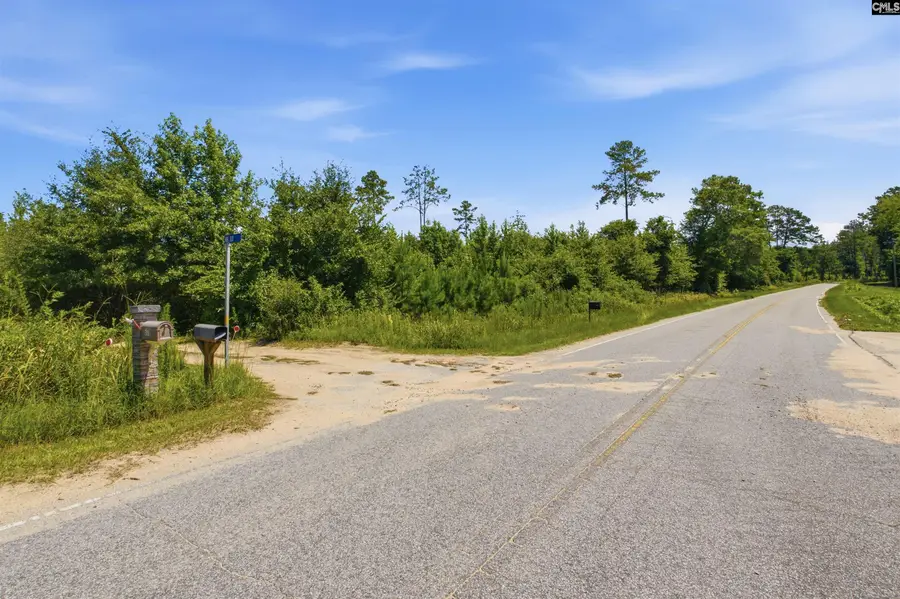 Borden Road, Rembert, SC 29128 - #2