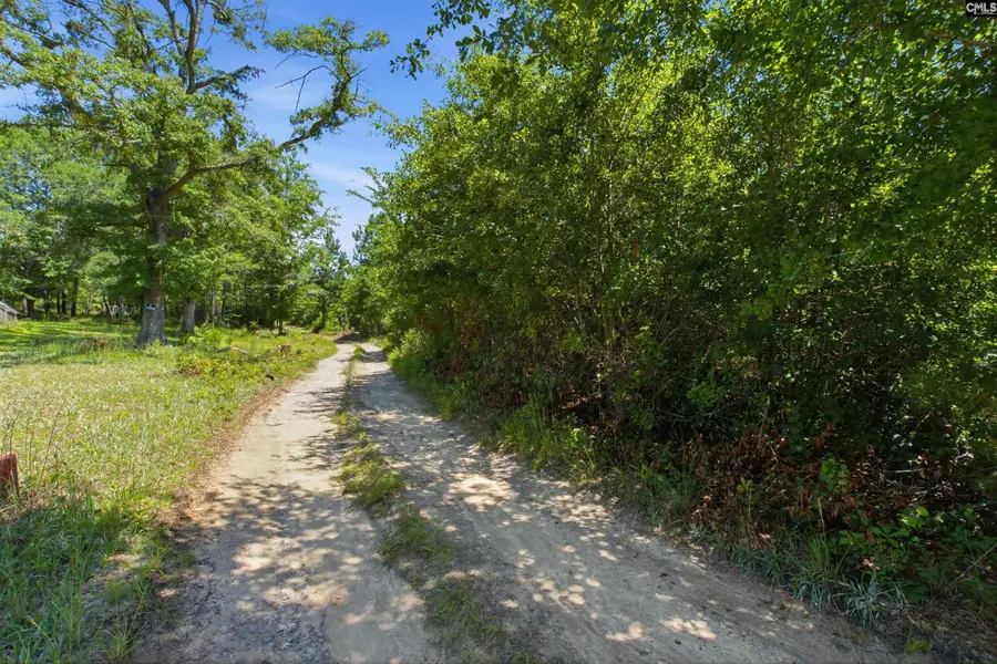Borden Road, Rembert, SC 29128 - #3