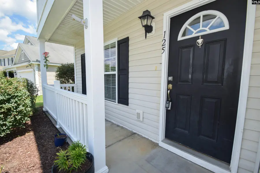 125 Baltic Court, Chapin, SC 29036 - #3
