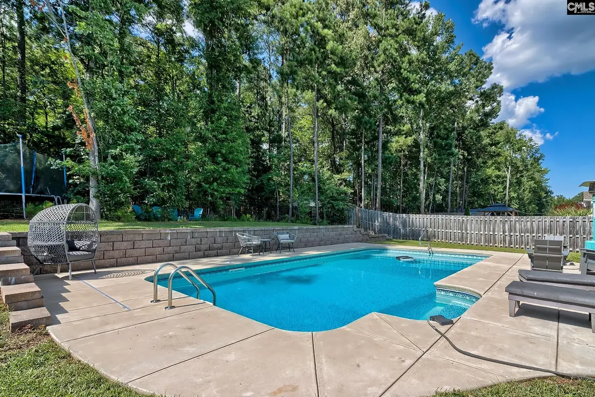 329 Dolly Horn Lane, Chapin, SC 29036 - #1