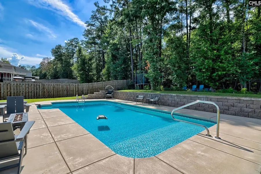 329 Dolly Horn Lane, Chapin, SC 29036 - #3