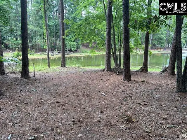110 John Long Road, Gilbert, SC 29054 - #3