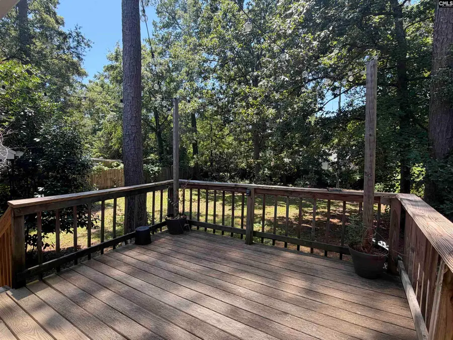 202 River Song Road, Irmo, SC 29063 - #3