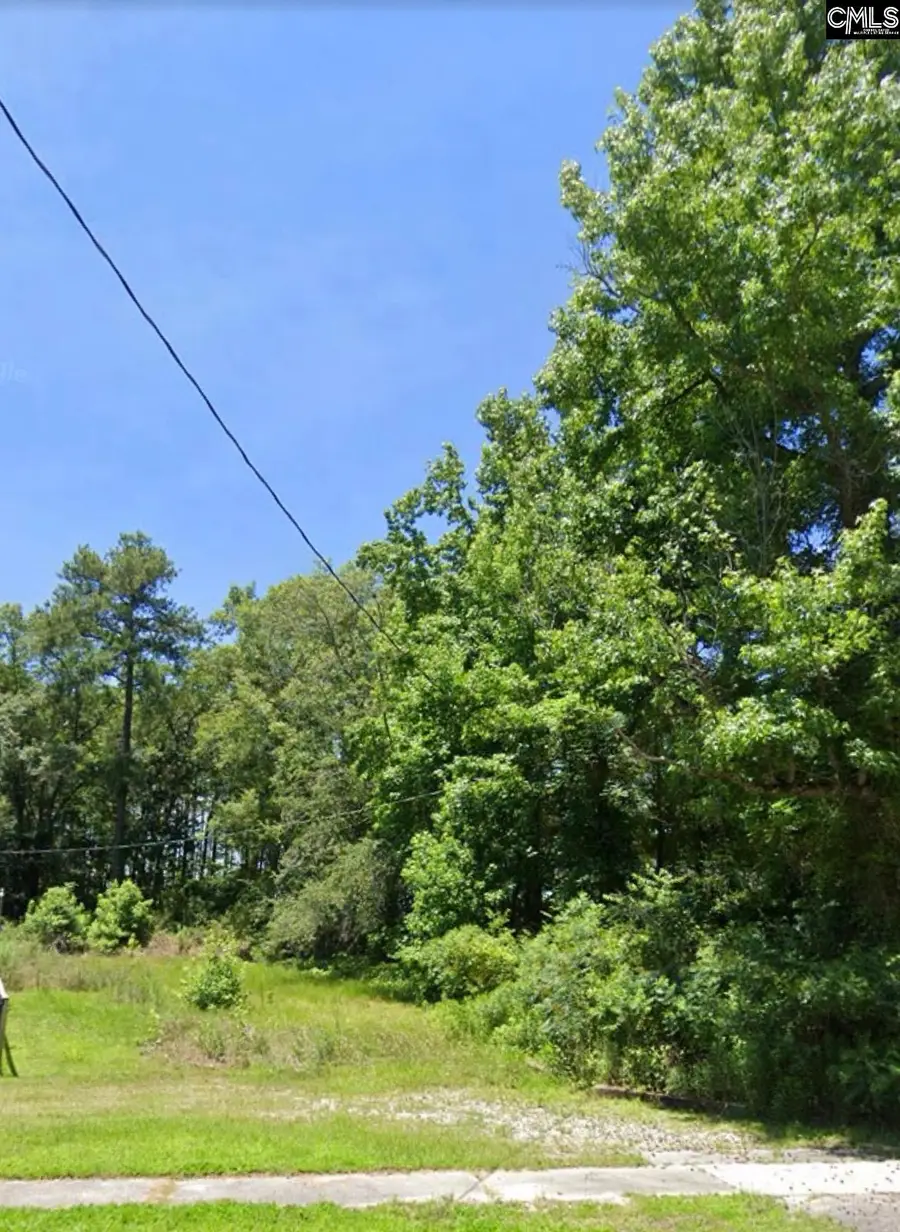 275 Boney Road, Blythewood, SC 29016 - #2