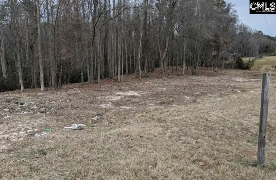 2232 Highway 1 South Highway, Elgin, SC 29045 - #3