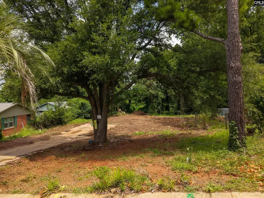 4224 Williamsburg Drive, Columbia, SC 29203 - #3