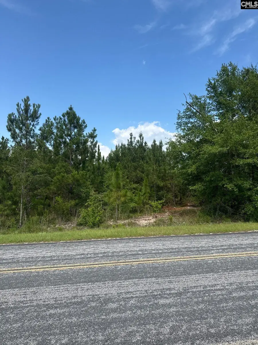 MPF 3 State Rd S-28-31 Road, Jefferson, SC 29718 - #2