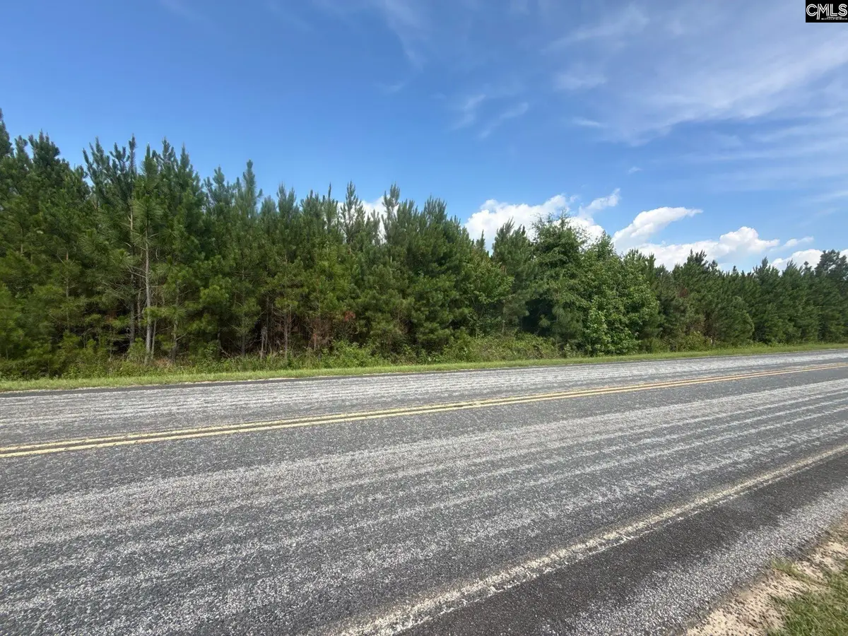 MPF 4 State Rd S-28-31 Road, Jefferson, SC 29718 - #1