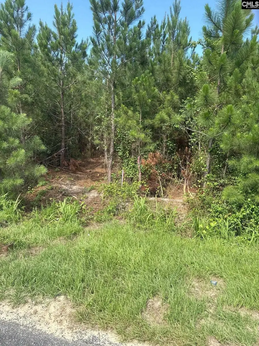 MPF 4 State Rd S-28-31 Road, Jefferson, SC 29718 - #2