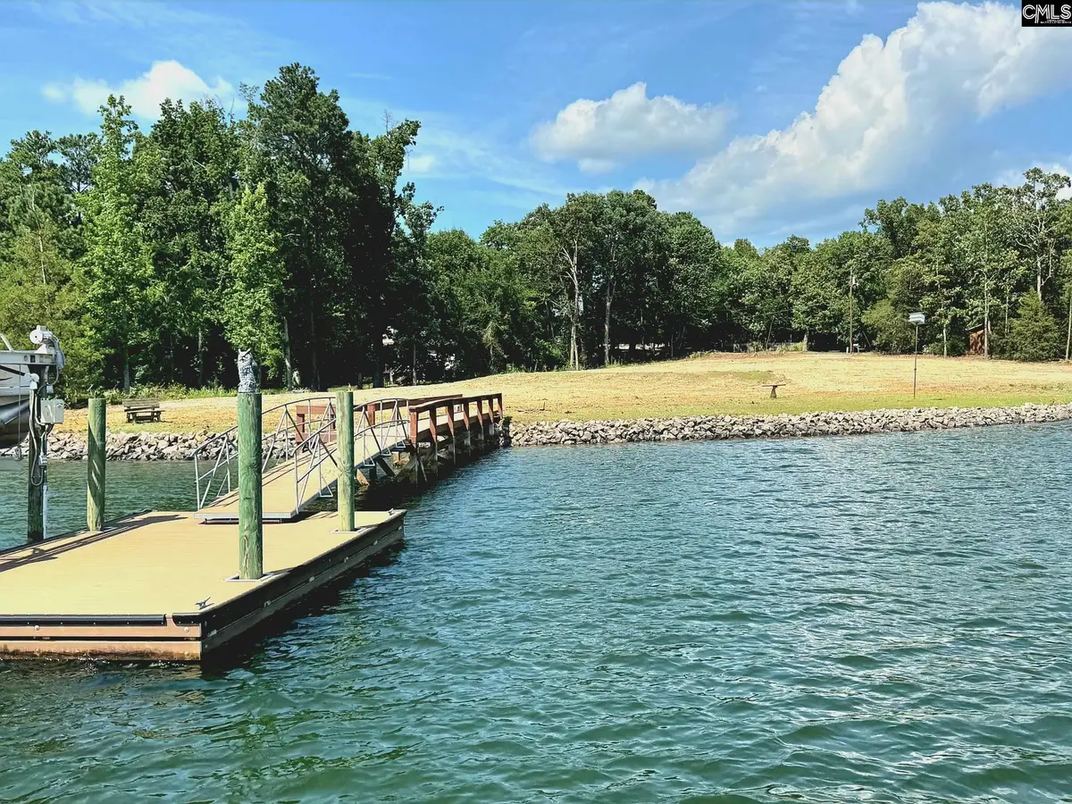 748 Crystal Lake Circle #Lot 2, Chapin, SC 29036 - #1