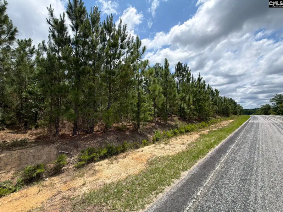 MPF 5 State Rd S-28-31 Road, Jefferson, SC 29718 - #2
