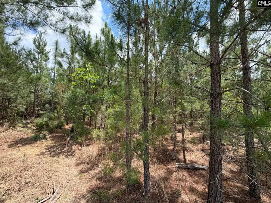 MPF 5 State Rd S-28-31 Road, Jefferson, SC 29718 - #3
