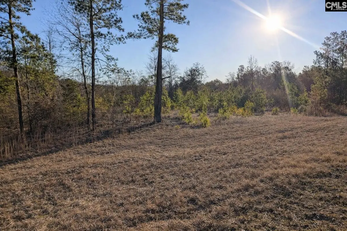 7884 Winnsboro Road, Columbia, SC 29203 - #1