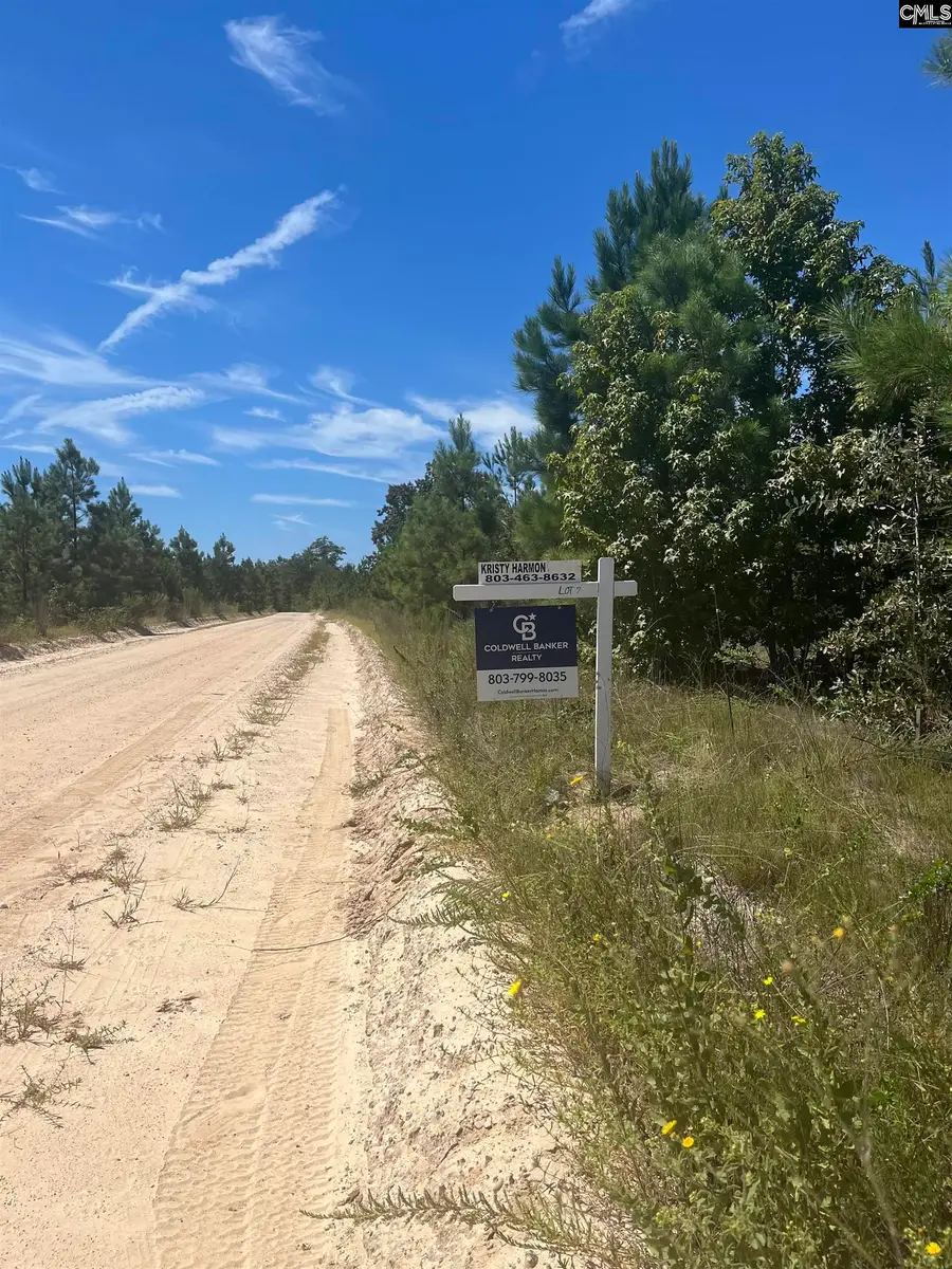 3109 Arcadia Road, Bethune, SC 29009 - #2