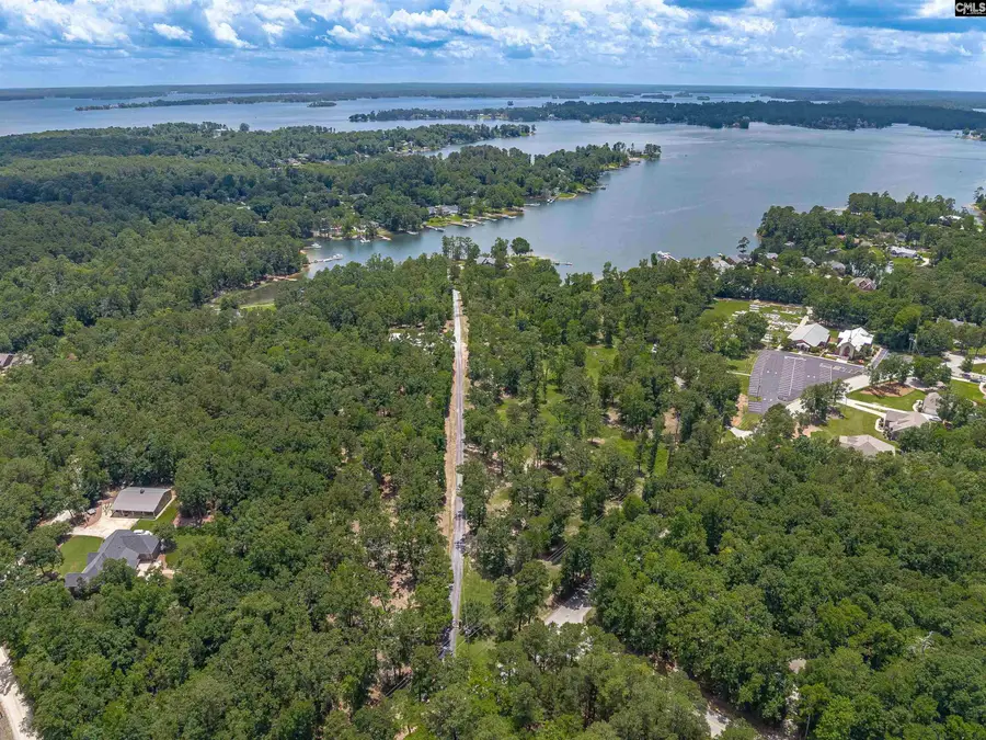 165 Saint Thomas Church Road, Chapin, SC 29036 - #3
