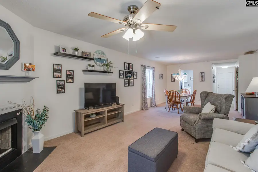 145 Thorn Tree Lane, Columbia, SC 29212 - #3