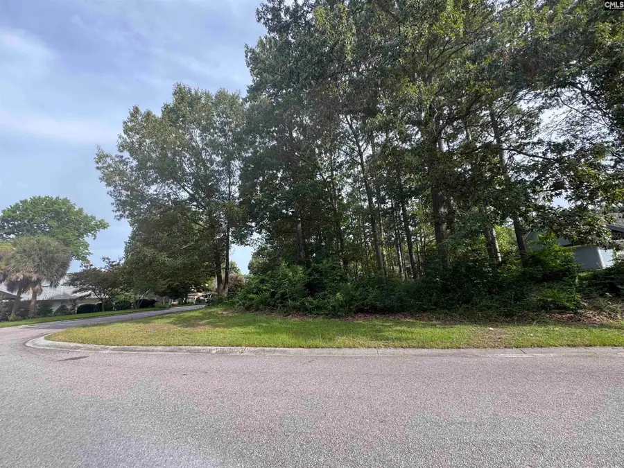164 Emerald Lake Road, Columbia, SC 29209 - #3