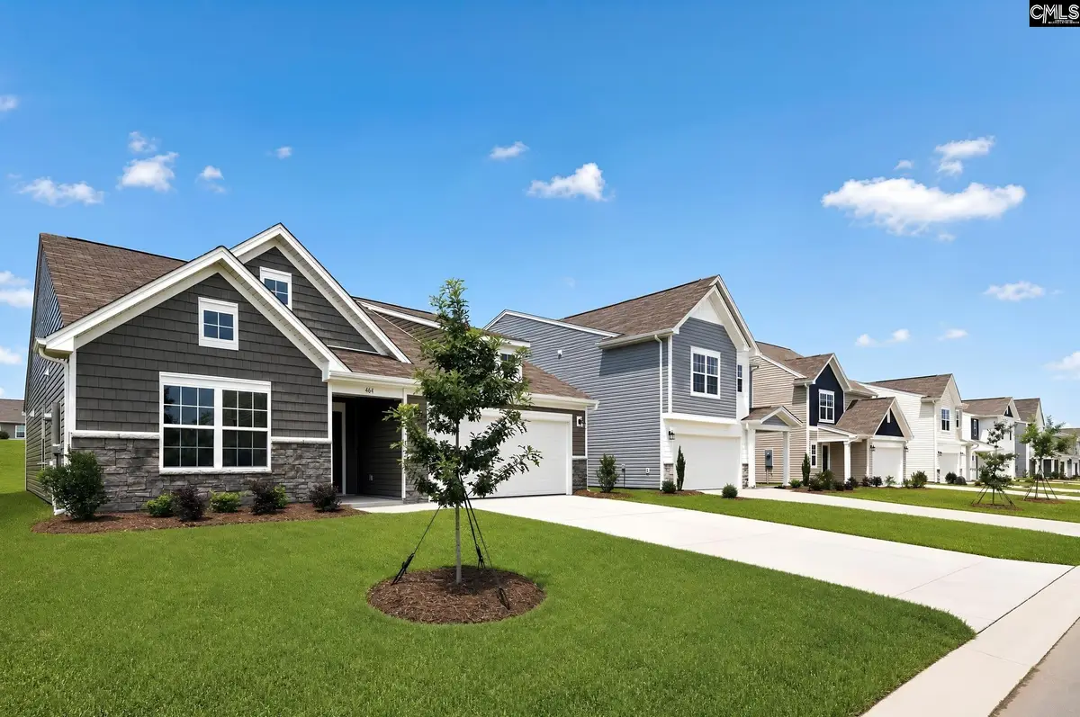 433 Happy Hollow Drive, Gaston, SC 29053 - #1