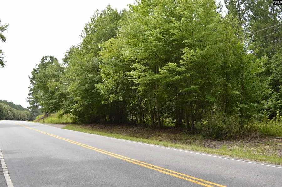2087 Longtown Road, Lugoff, SC 29078 - #2