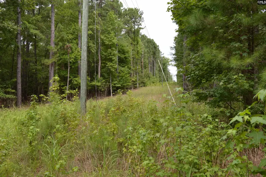 2087 Longtown Road, Lugoff, SC 29078 - #3