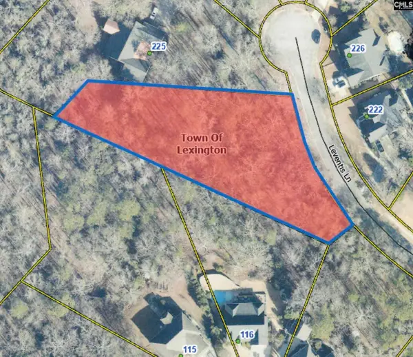 221 Leventis Lane, Lexington, SC 29072